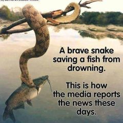 A brave snake.